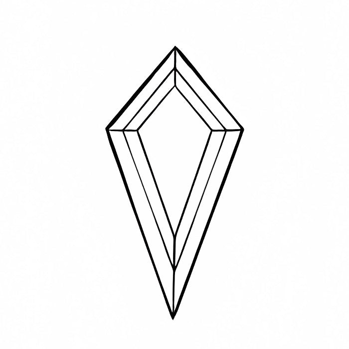 Kite