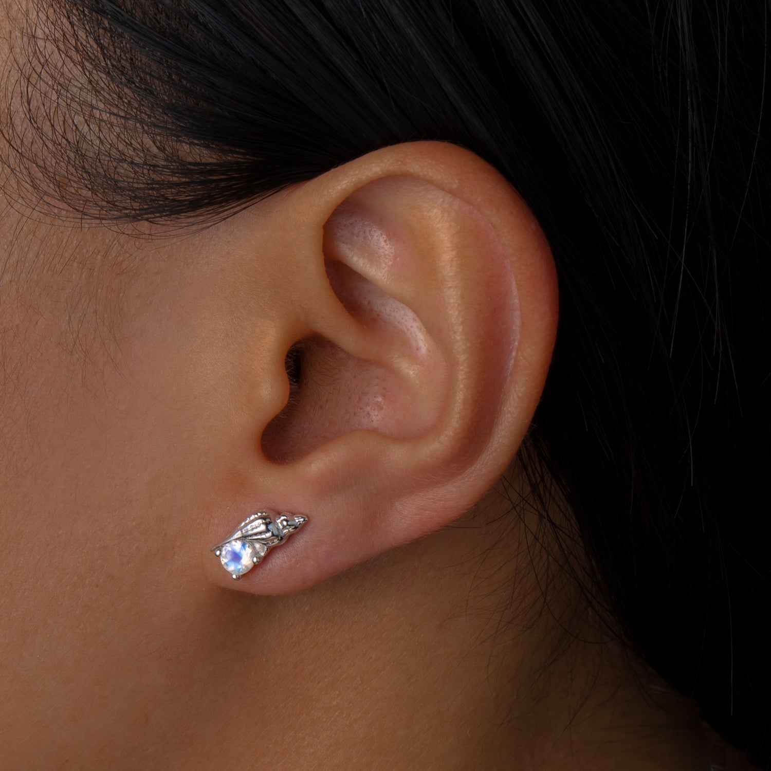 Natural Moonstone Conch Sterling Silver Stud Earrings